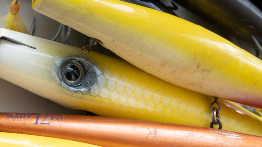 April 22nd 2023 Striper Kickoff Event Info!