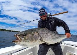 Saltwater Edge Podcast - Starting at the Top with Captain Jack Sprengel