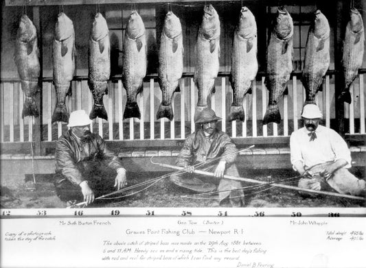 Fishing Opportunities In Newport