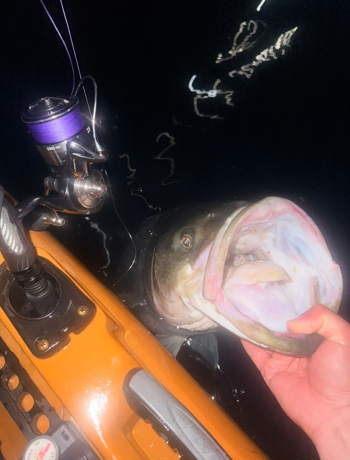 Fishing Forecast - May New Moon