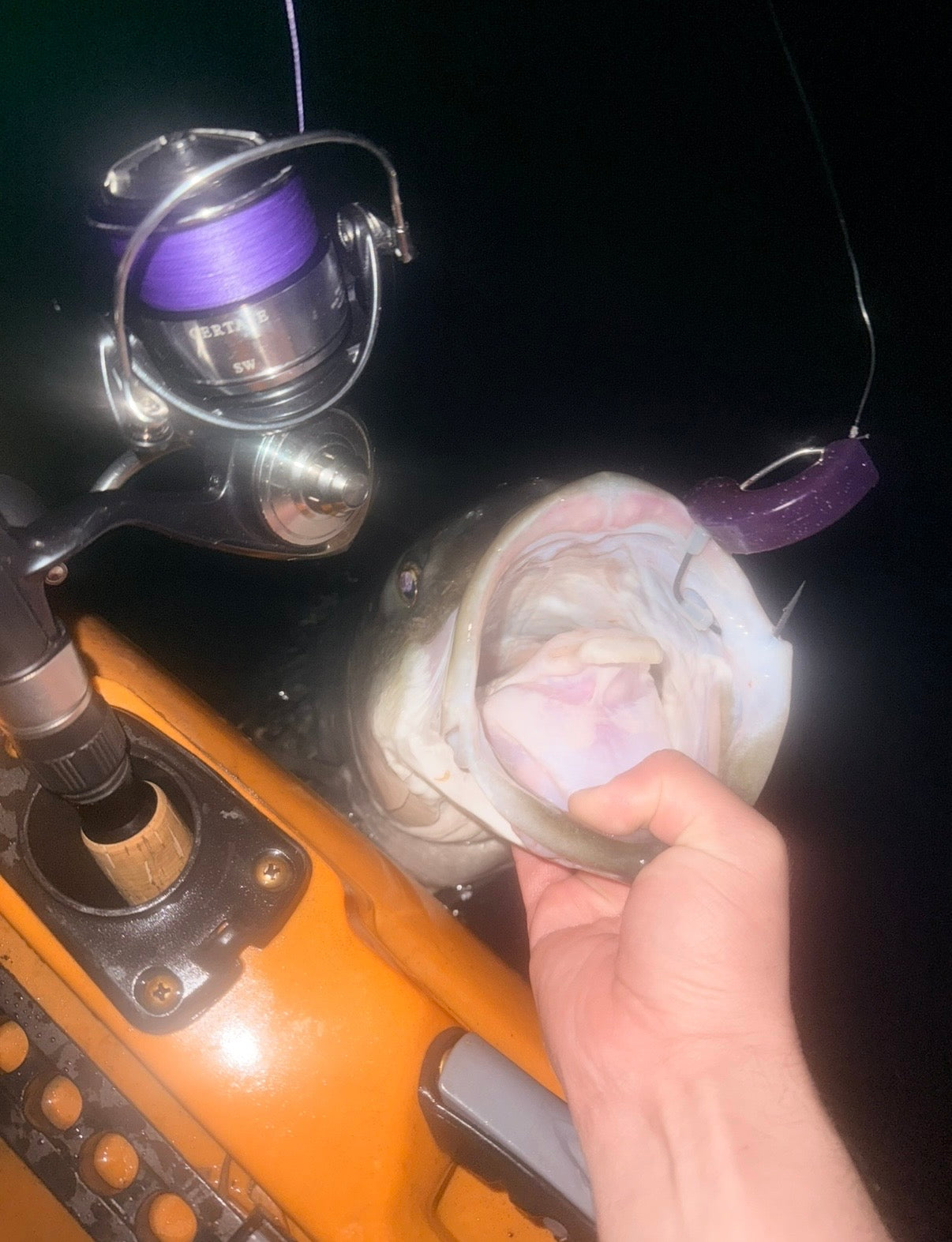 Fishing Forecast - June New Moon