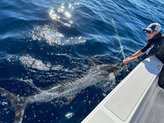 A Trip to Mag Bay with Captain Max Dispoto