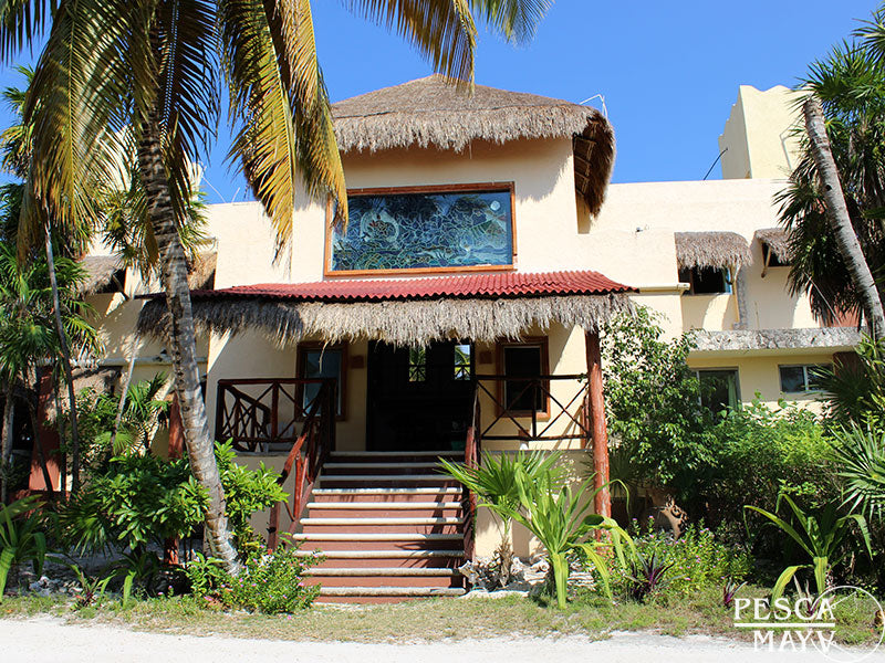 Trip Report: Ascension Bay, Quintana Roo, Mexico -Late January 2020