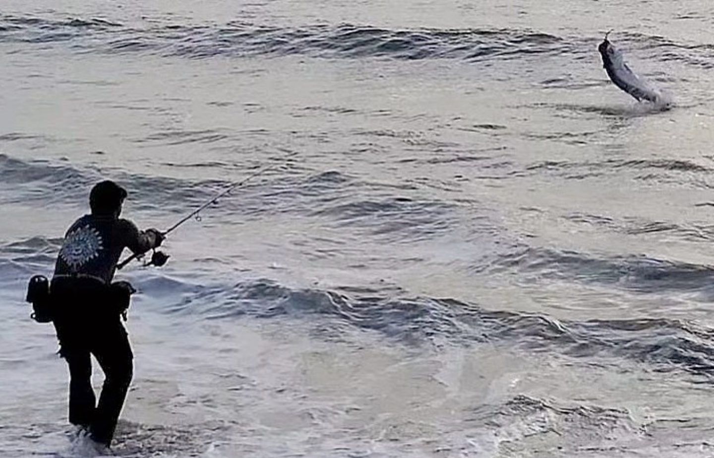 Project Magic Hour - 10.3.23