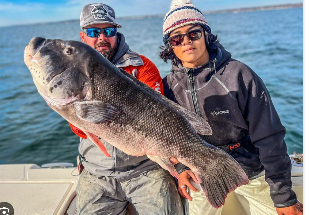 Captain Connor Macleod - Rhody's Do It All Captain