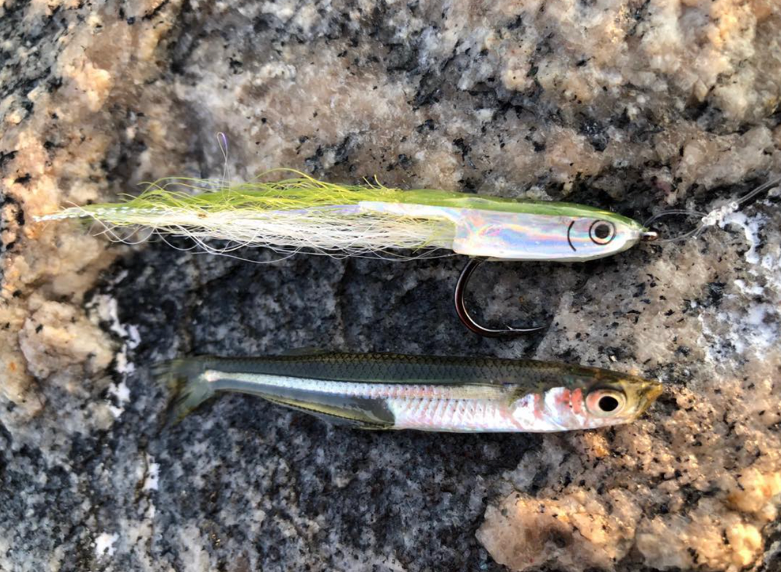 The Fly Tiers Guide To New England Critters And Baitfish