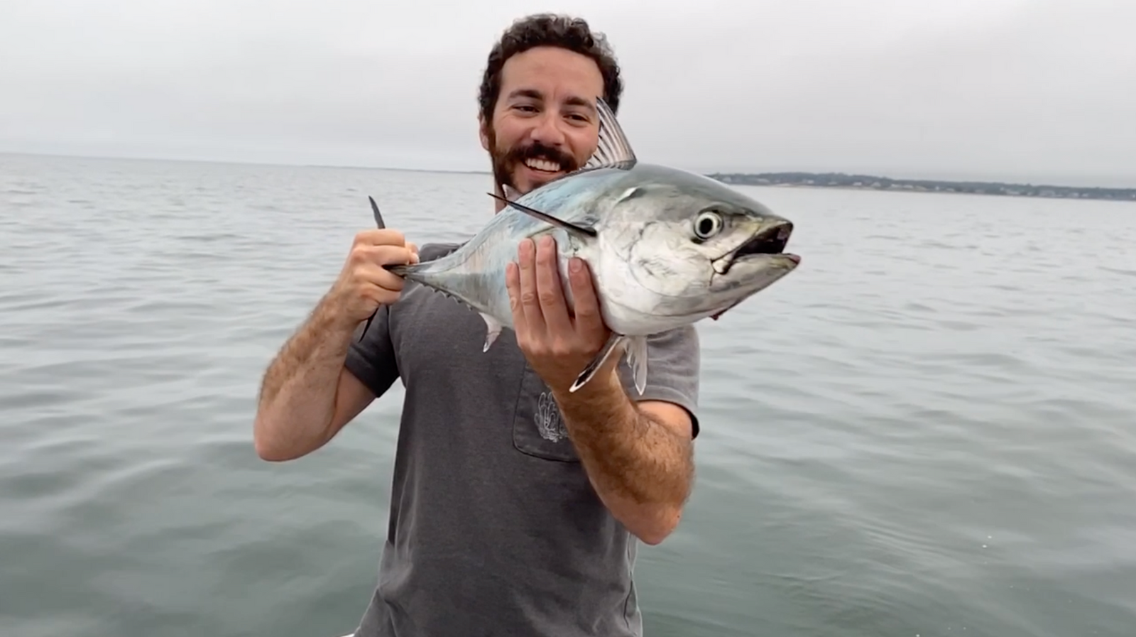 Help Us Put Albies and Bonito on the Scientific Map