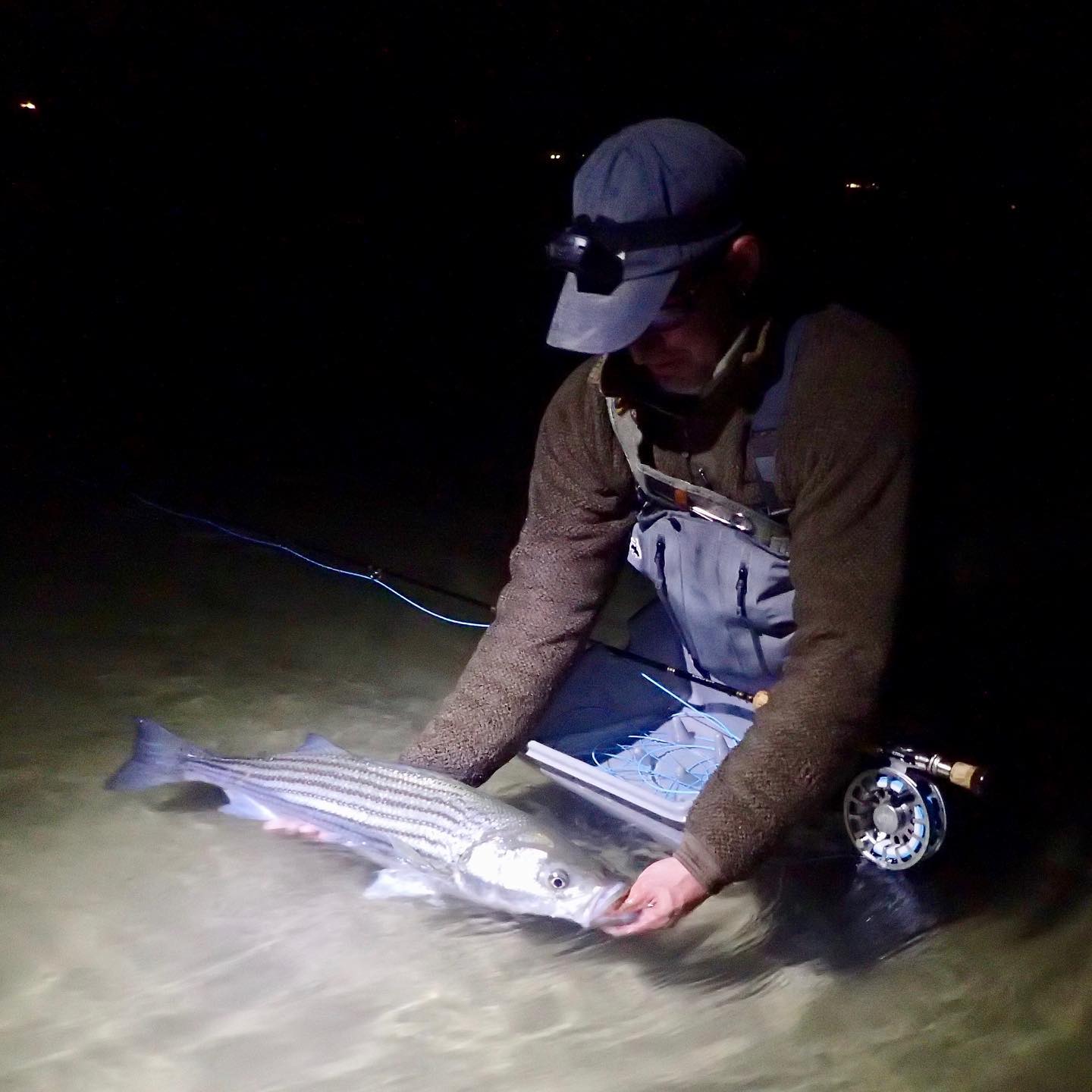 Saltwater Edge Podcast - Trout Fishing for Striped Bass with Steve Culton