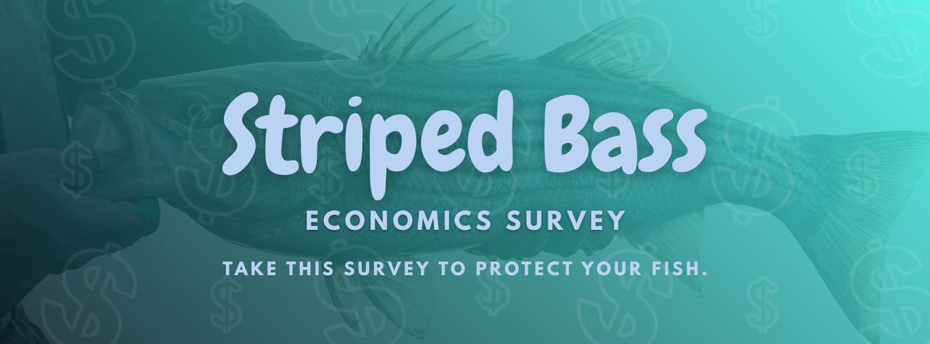 The Striped Bass Economic Survey