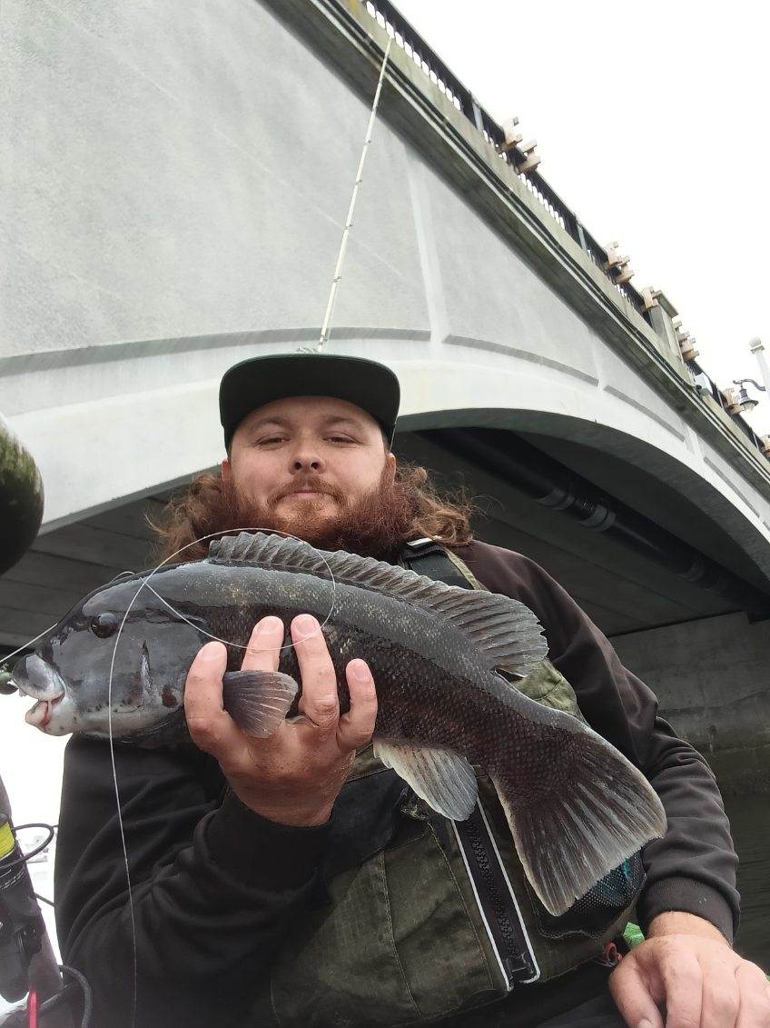 Fall Tautog Fishing Guide