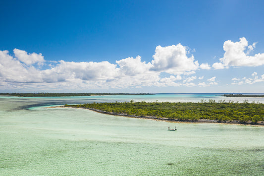 Saltwater Edge Travel: Berry Islands, Bahamas - Bonefish and more