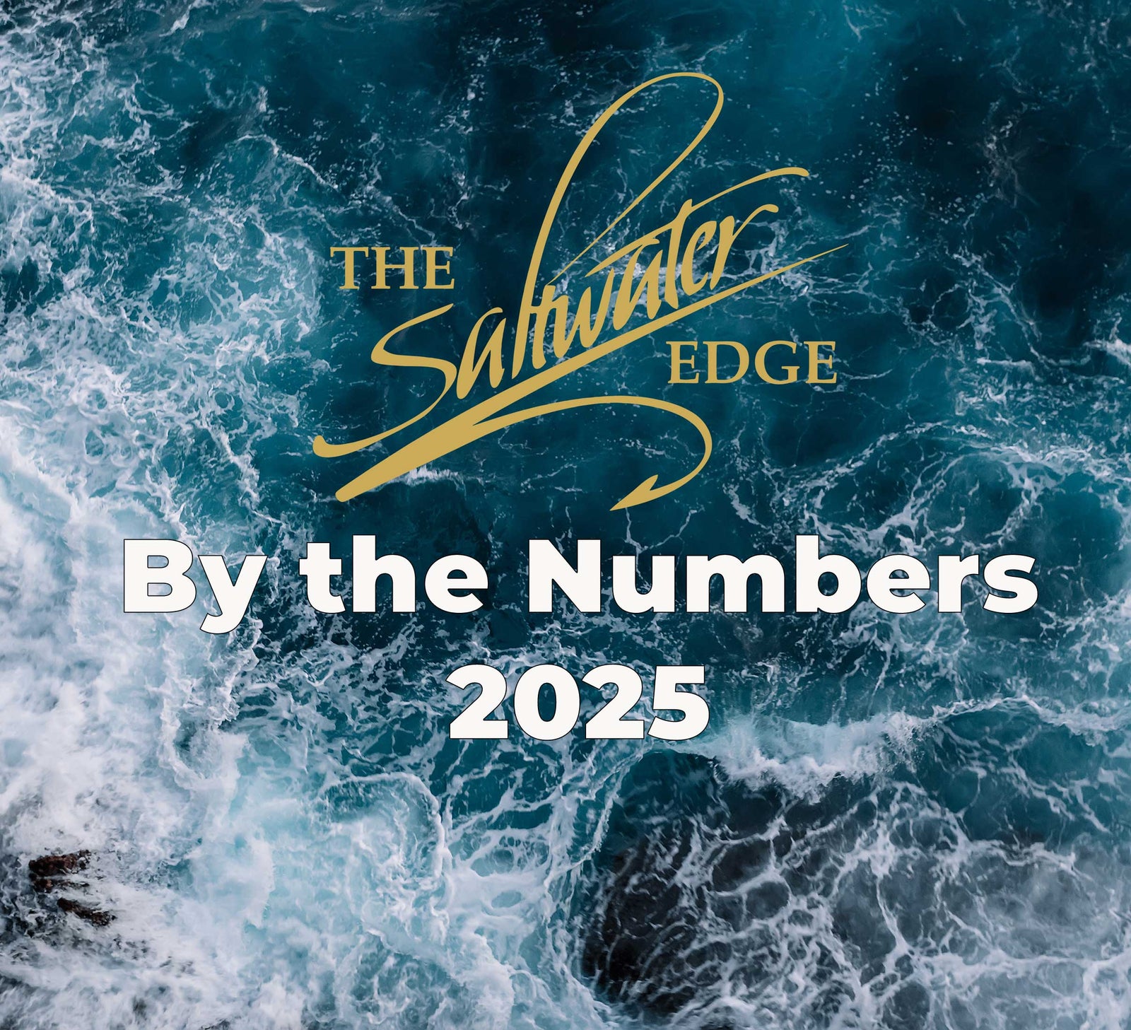 SWE By the Numbers 2025