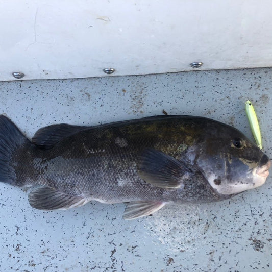 Tackle and Tactics: Hardtail Plan B