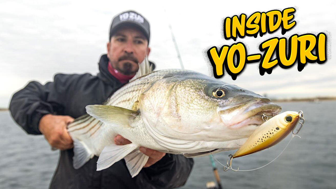 Inside Yo-Zuri: Chris Bishop on the Lures Built for Northeast Striped Bass