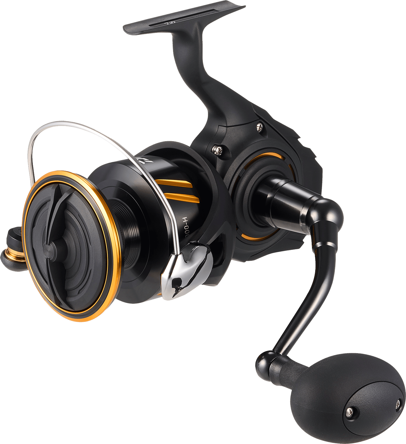 Daiwa BG SW Spinning Reels