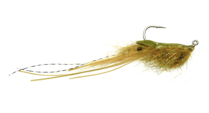 Whalley's Champagne Shrimp Olive