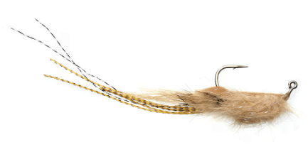 Whalley's Champagne Shrimp Tan