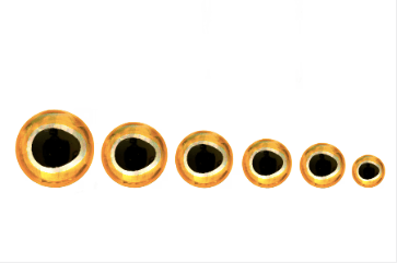 3-D Epoxy Baitfish Eyes Gold / 4mm