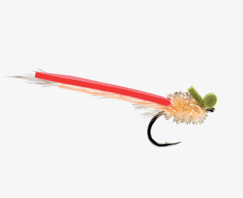 Palolo Slider