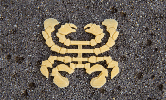 Flats Craft Moon Crab Bodies