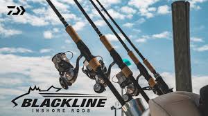Daiwa Blackline Inshore BLB761MHFS Spinning Rod