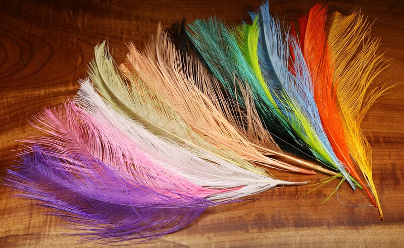 Raptor Hackle Black