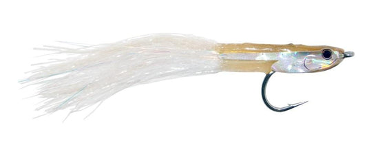 Popovic's Fleye Bay Anchovy #2