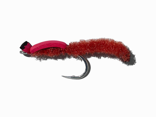 John Genovesi Potter's Pond Special Cinder Worm