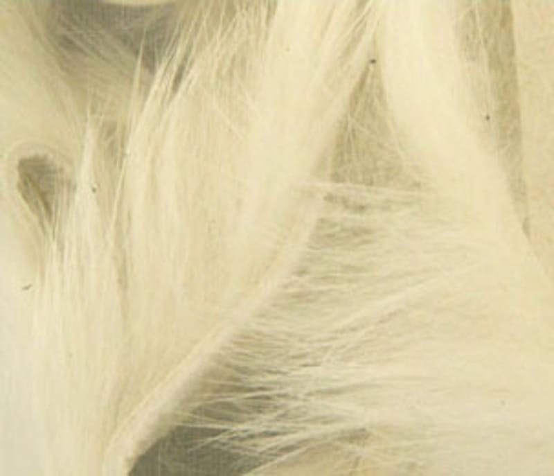 Rabbit Strips White