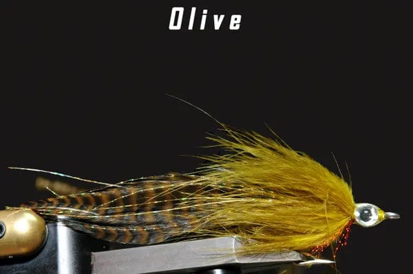 Bunk-a-bou Olive