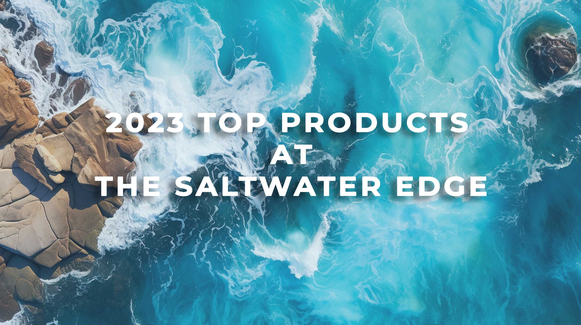 Saltwater Edge Top Products of 2023