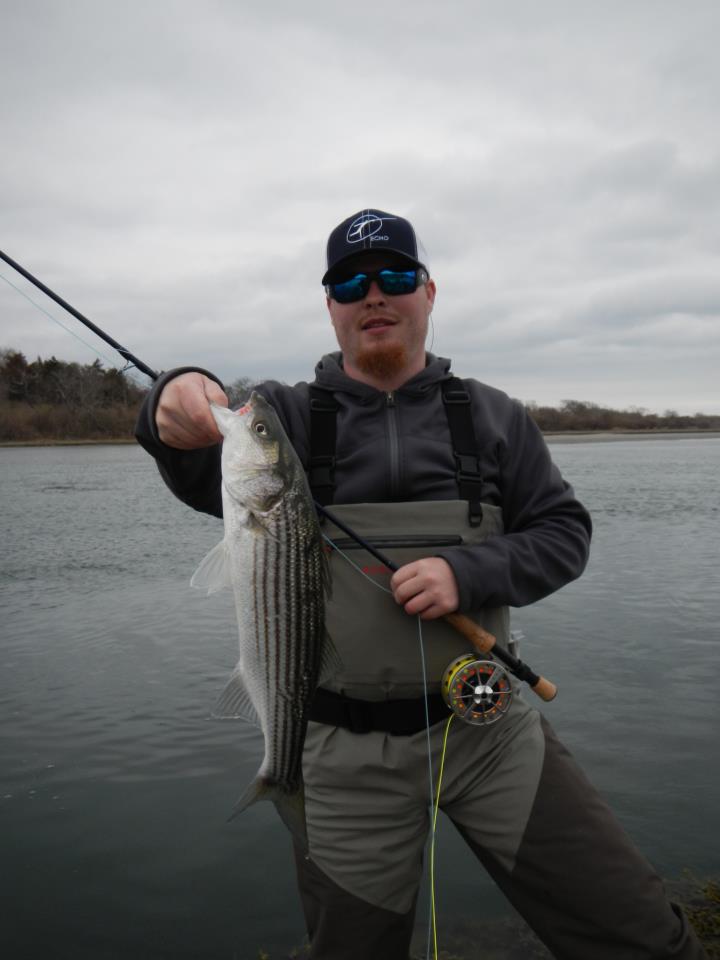 Five Spring Striper Flies