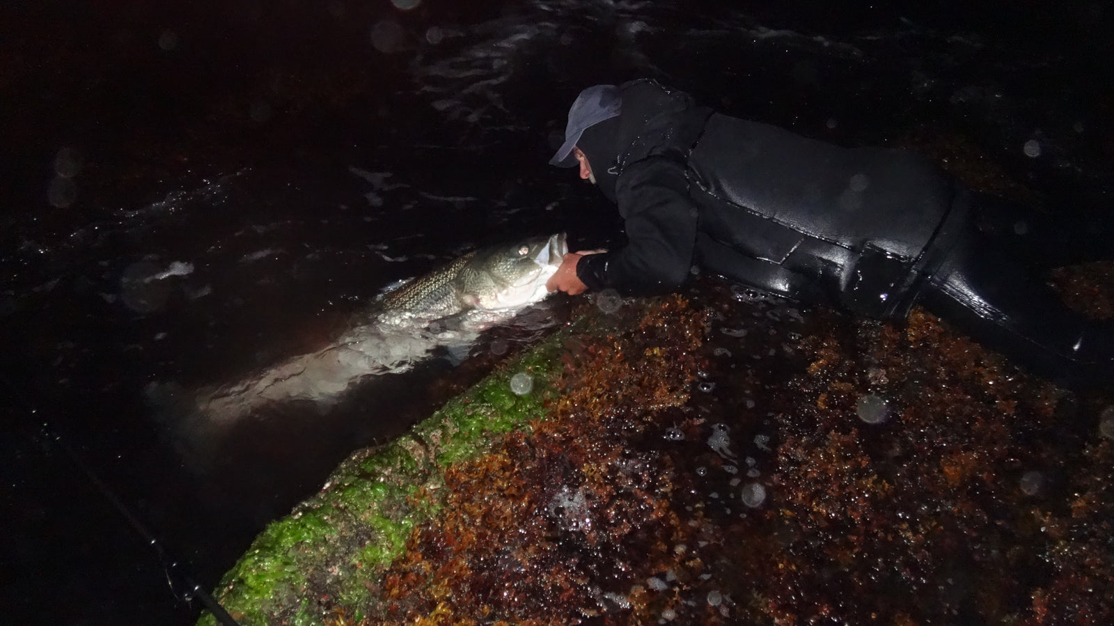 Circle Hooks: Quit Yer Complaining!