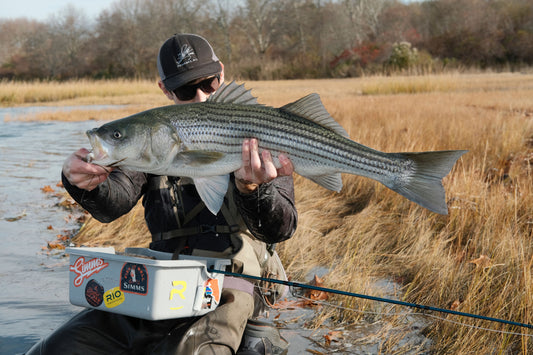 The Saltwater Edge Essential Guide To Saltwater Fly Fishing