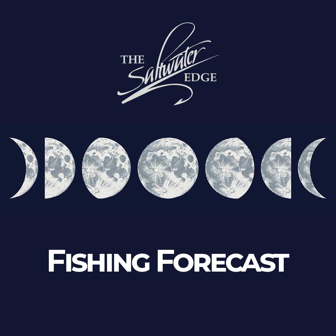 Fishing Forecast June/July New Moon Period 2022