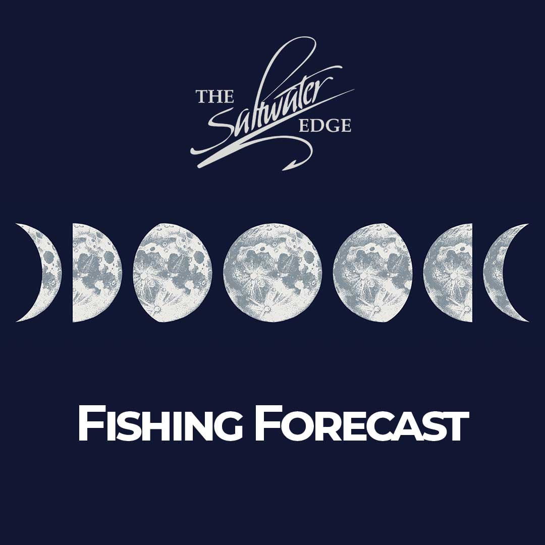 Fishing Forecast - August Full Moon