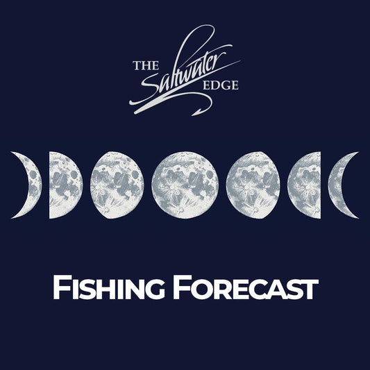 Fishing Forecast - October Full Moon