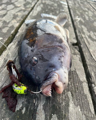 Fishing Forecast: April Full Moon 2024