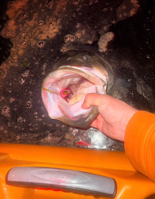 Fishing Forecast - Late May Full Moon