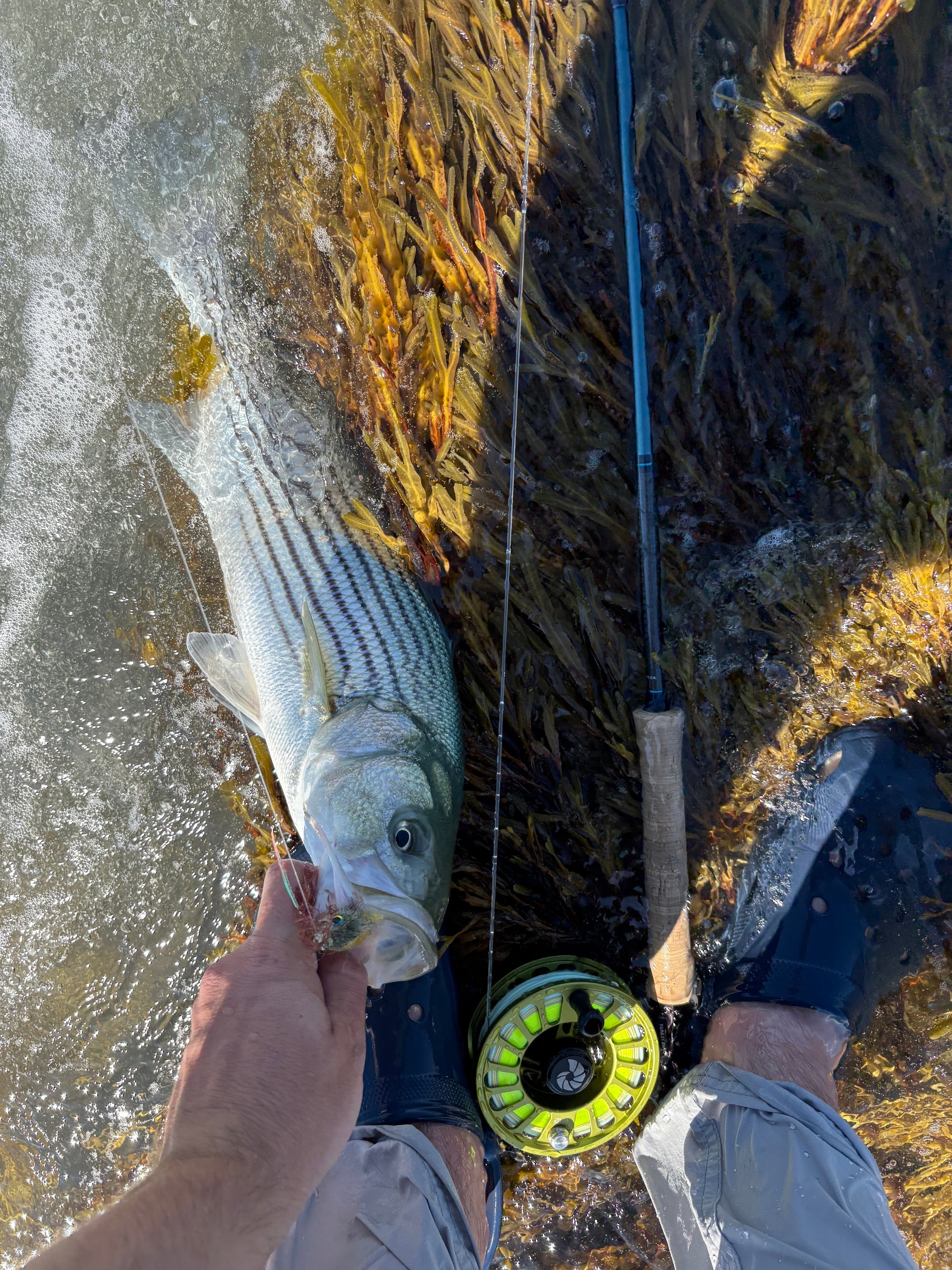 Fishing Forecast - September Full Moon