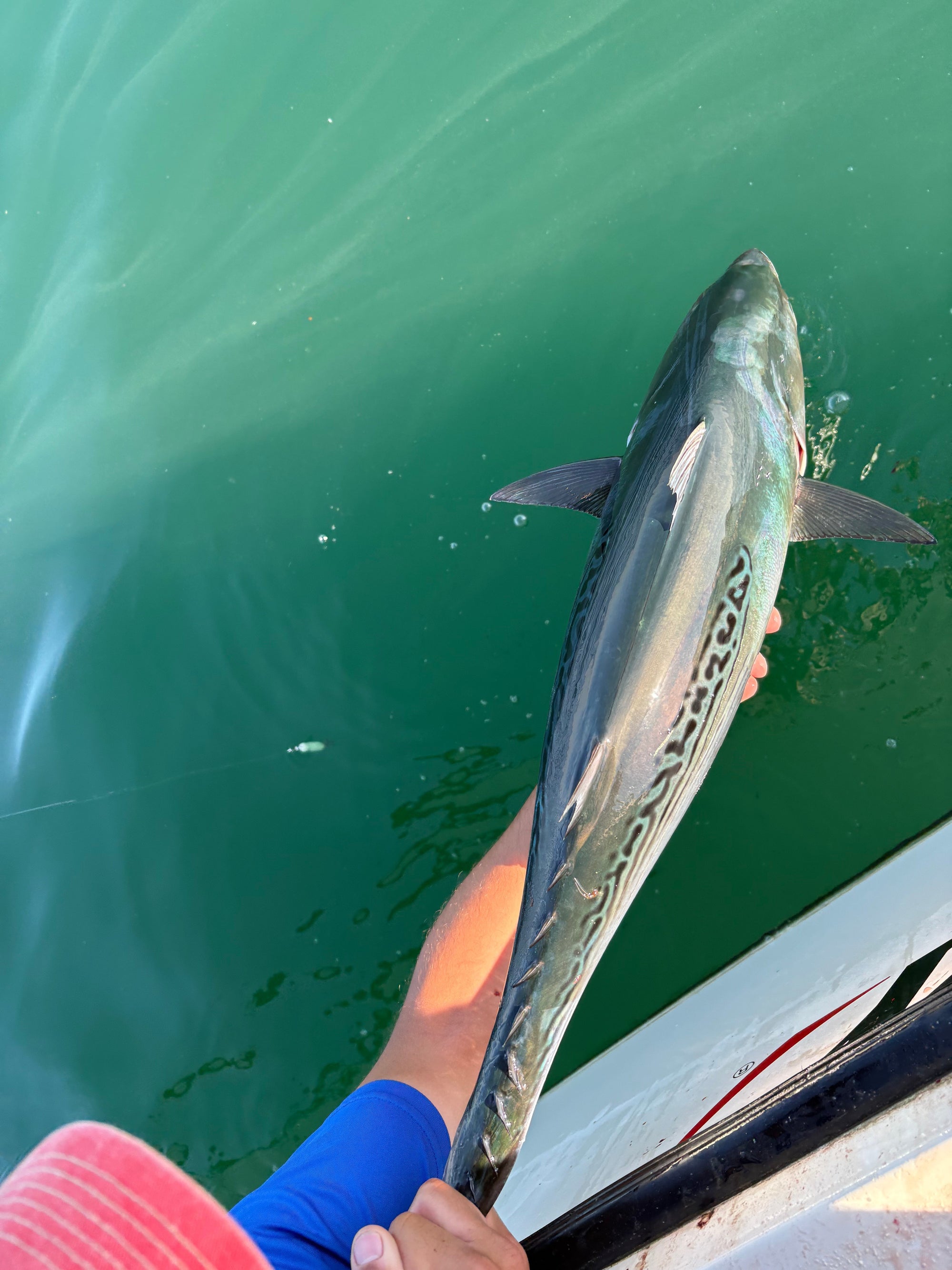 Fishing Forecast - October New Moon