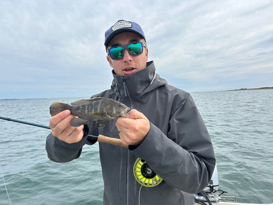 Fishing Forecast - September New Moon