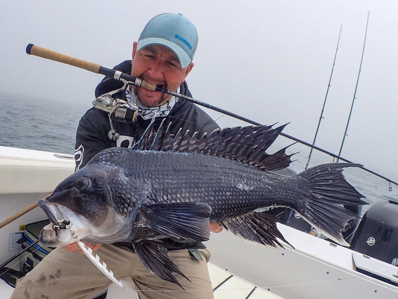 Sea Bass 101: Bait 'em Up! - The Fisherman