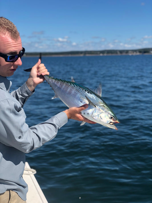 How To Choose An Albie Outfit