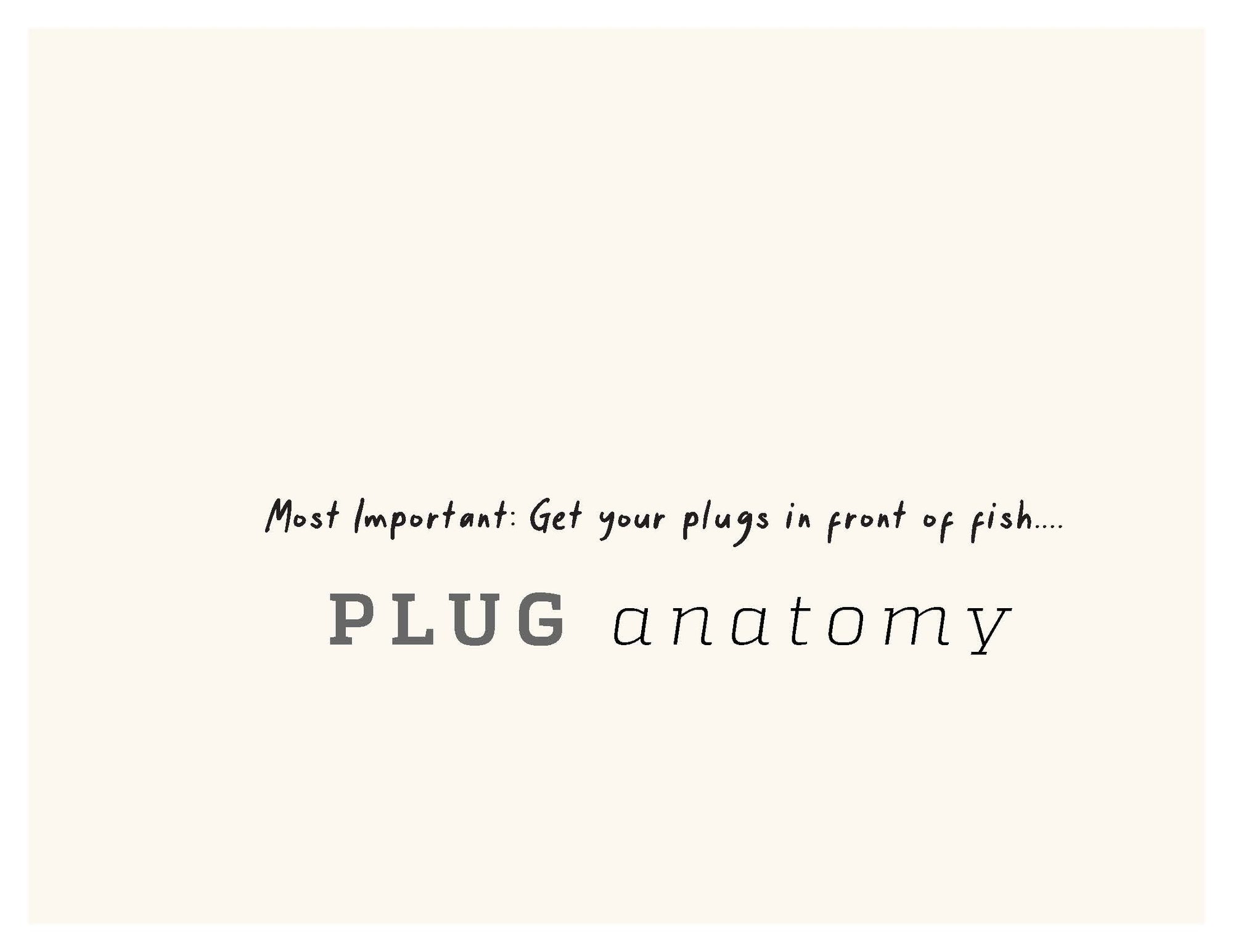 Frank Goncalves on Plug Anatomy