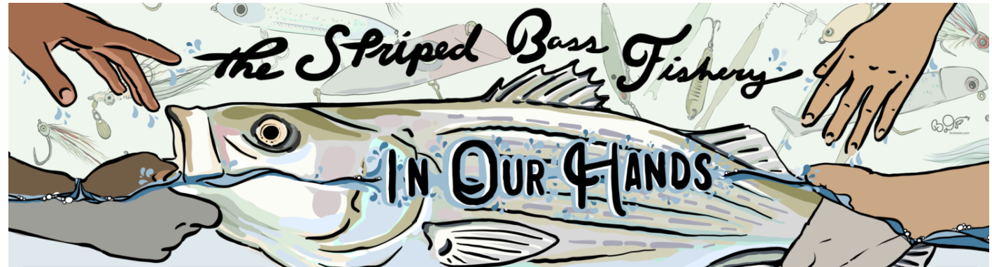 Stripers In OUR Hands