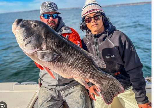 Captain Connor Macleod - Rhody's Do It All Captain