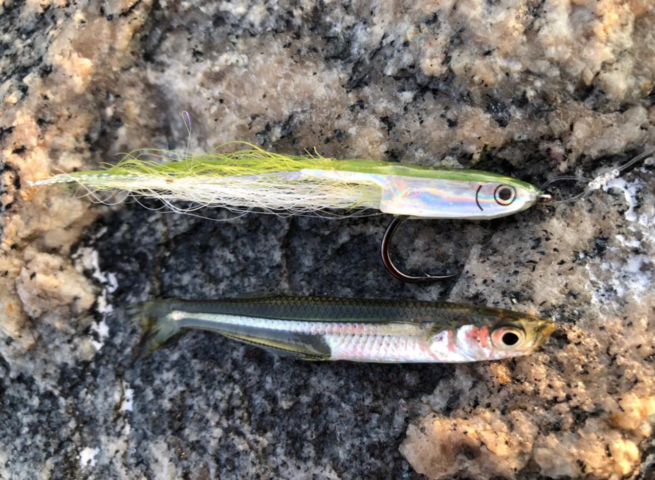 The Fly Tiers Guide To New England Critters And Baitfish