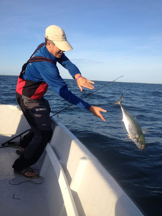 Albies and Stripers - Seven Stripes Fishing Podcast