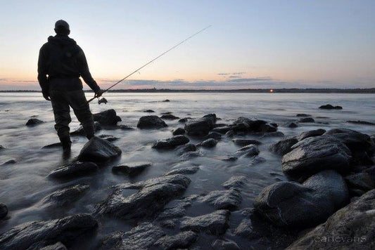 Super Strike Zig-Zag: The Essential Darter